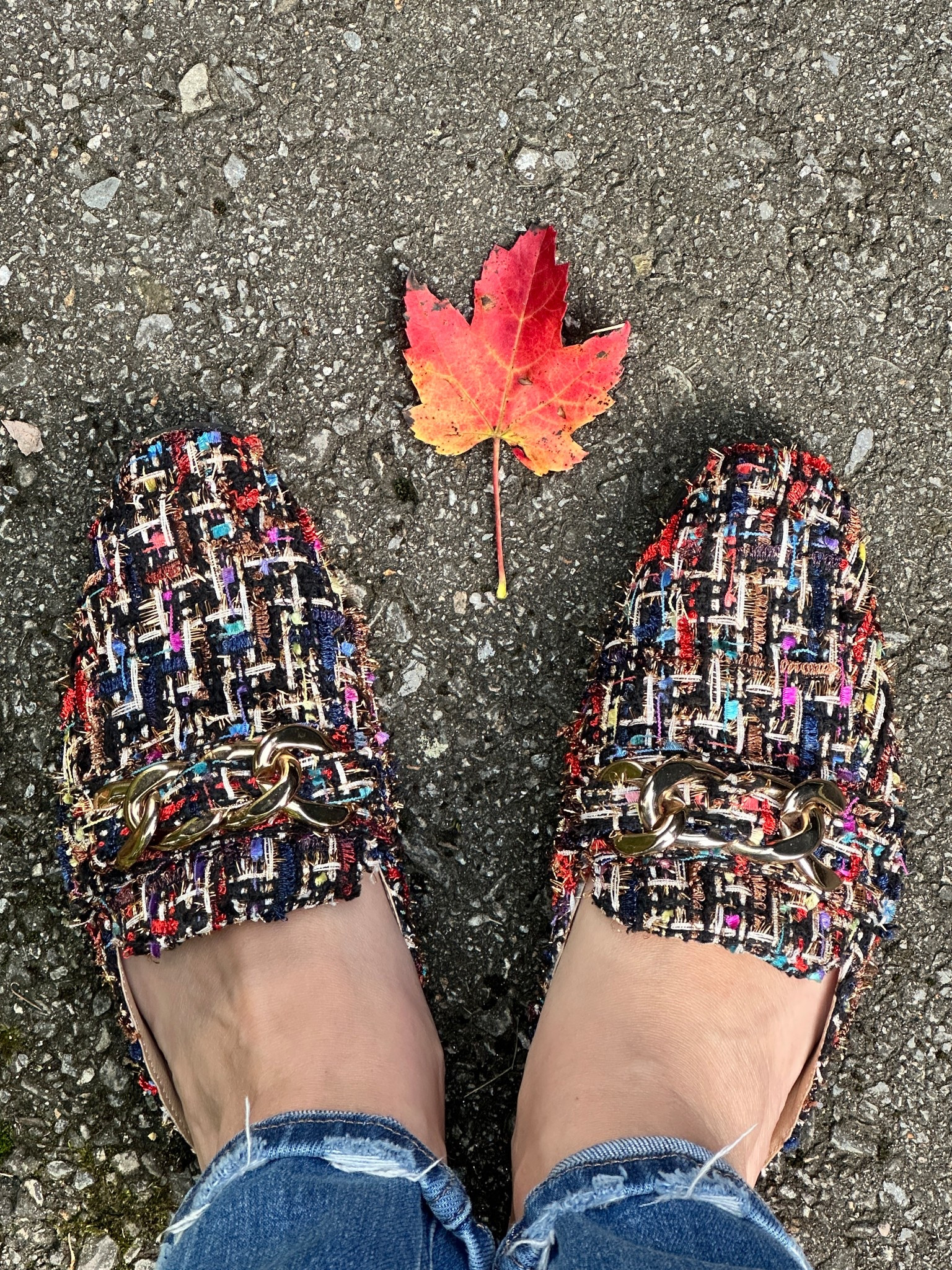 My fav fall shoes 🍁 #moderntweed #fallshoes #mules

#LTKStyleTip #LTKShoeCrush #LTKSeasonal