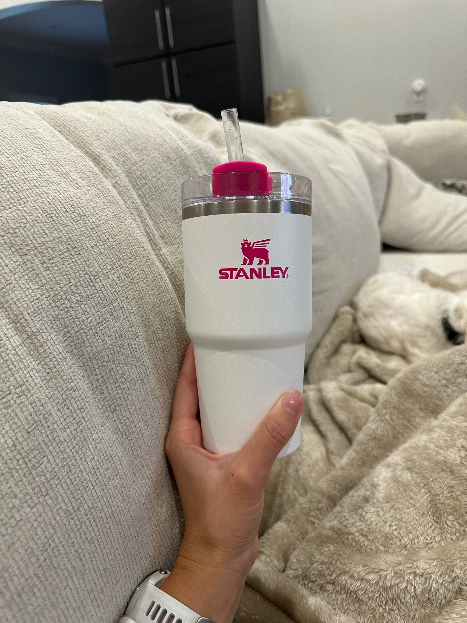 20oz kids Stanley cup find🤩💗 2 pack for $50!

#LTKHolidaySale 
 Kids Stanley cup | Stanley cup sale

#LTKkids #LTKGiftGuide #LTKSeasonal