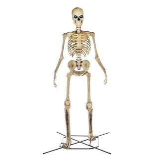 Home Accents Holiday 12 ft Giant-Sized Skeleton with LifeEyes(TM) LCD Eyes 21SV22082 - The Home D... | The Home Depot