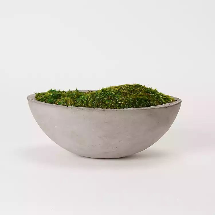 New! Preserved Mood Moss in Oval Concrete Bowl | Kirkland's Home