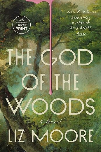 The God of the Woods: A Novel      Paperback – Large Print, July 2, 2024 | Amazon (US)