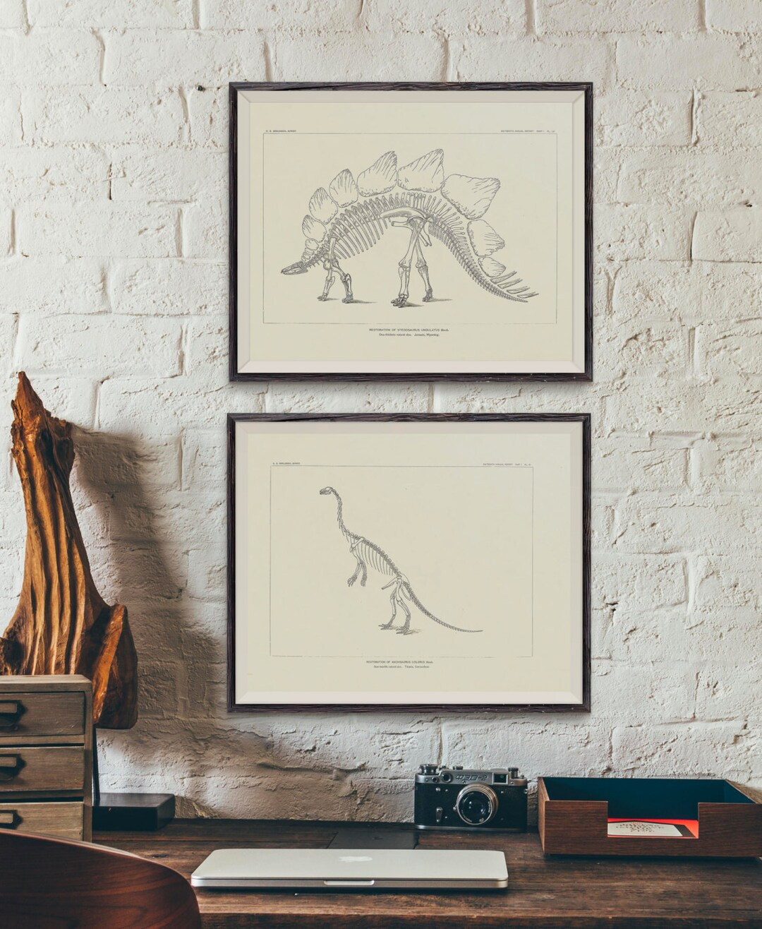 12 Vintage Drawings of Dinosaur Fossil Skeletons From North America Paleontology Dinosaur Bones D... | Etsy (US)