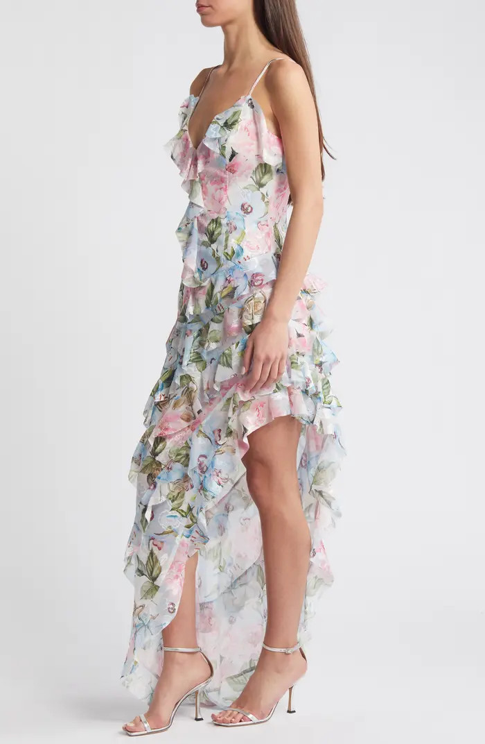 Wilhelmina Floral Print Ruffle Chiffon Maxi Dress | Nordstrom