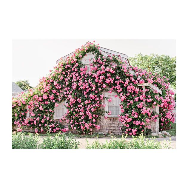 Pink Rose Covered Cottage Print | Cailini Coastal