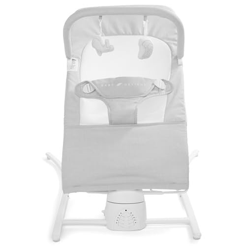 Baby Delight Alpine Wave Deluxe Infant Swing | Automated Motion Baby Lounger Seat | Infants 0 – 6 Months | Driftwood Grey | Amazon (US)