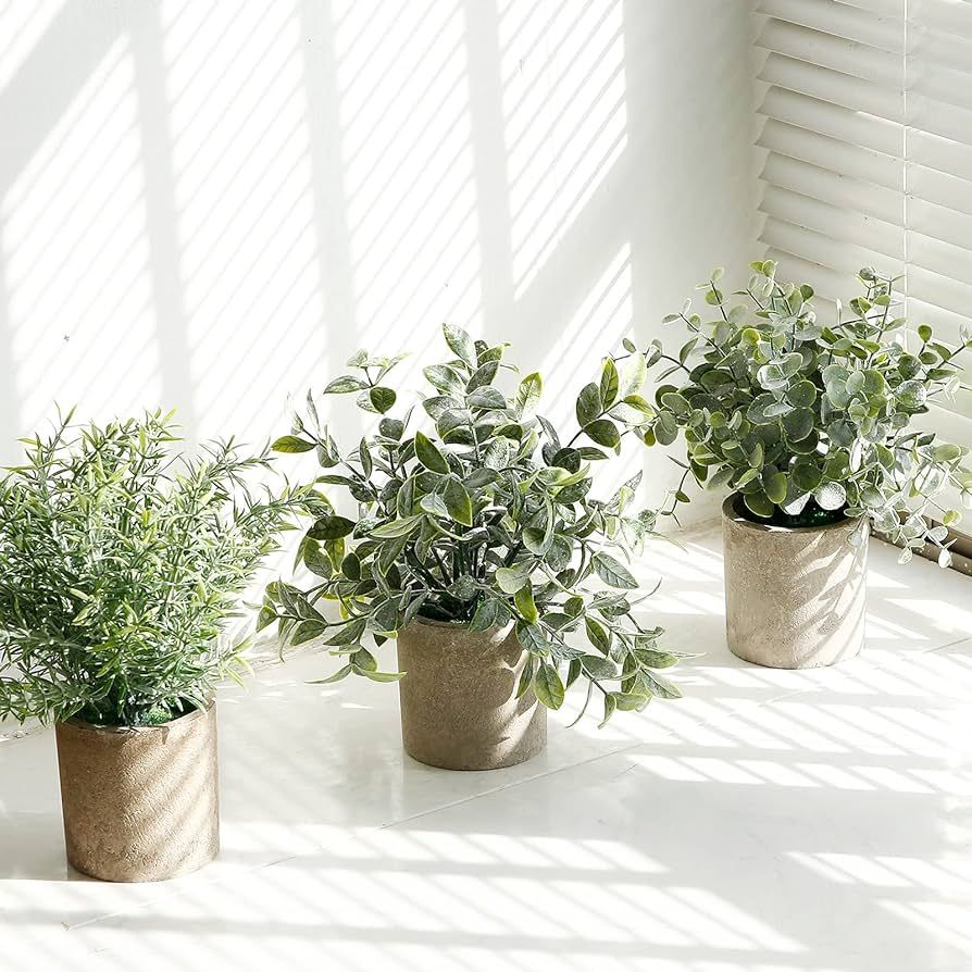 Artificial Plants 3 Potted Mini Fake Plants Artificial Eucalyptus Decorative Plants for Home Deco... | Amazon (US)