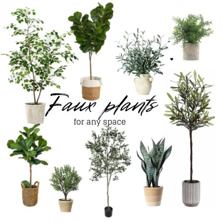 Faux plants for any space 

#LTKhome