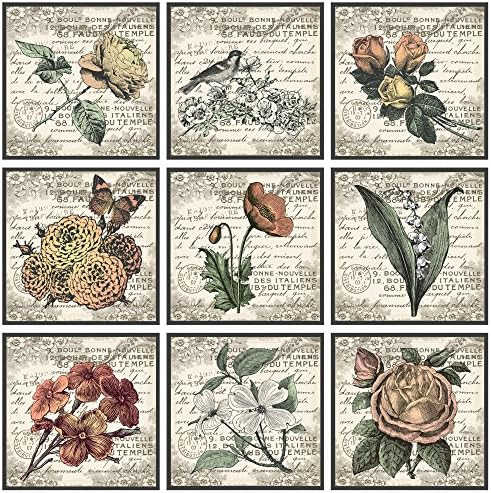 Martha Stewart Herbal Botany Wall Art Living Room Decor - Floral Linen Canvas, Farmhouse Lifestyl... | Amazon (US)