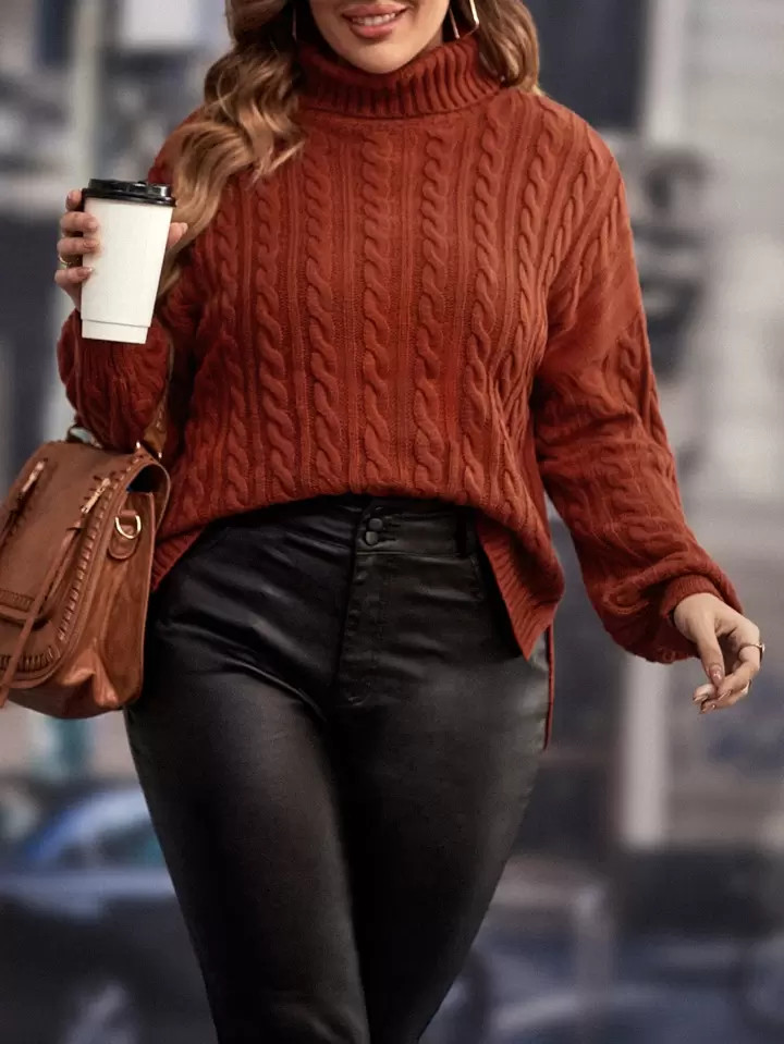 SHEIN LUNE Plus Turtleneck Cable Knit Drop Shoulder Sweater | SHEIN