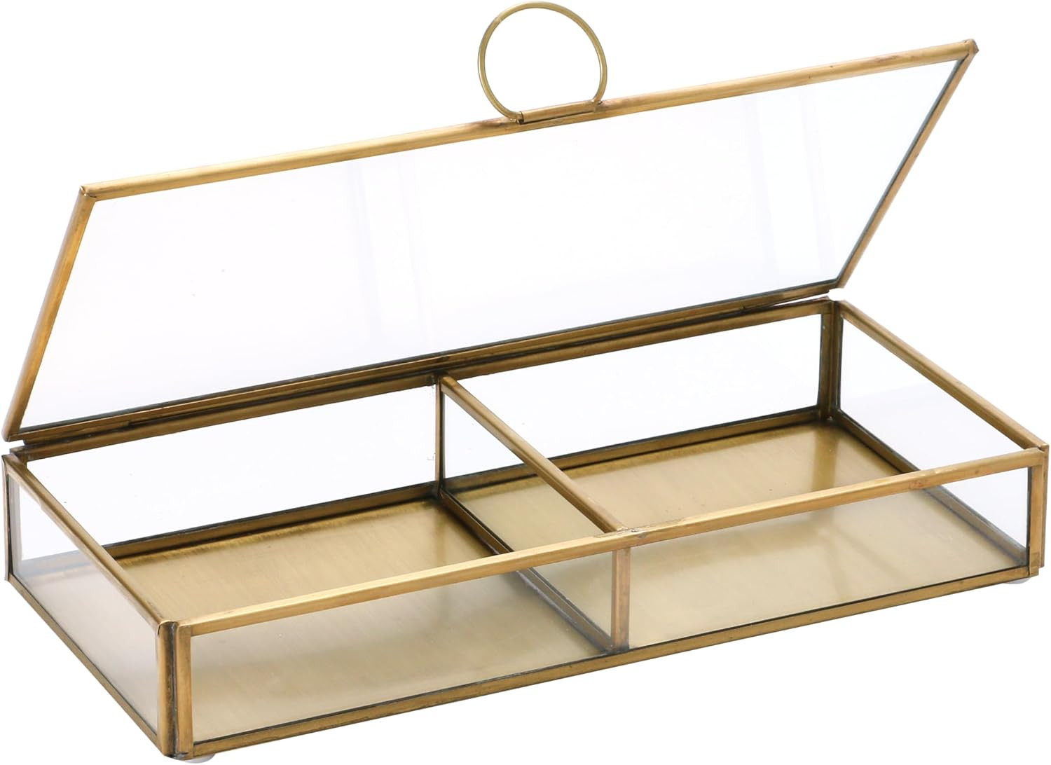 Creative Co-Op Brass and Glass Display Box with Two Compartments, Clear | Amazon (US)