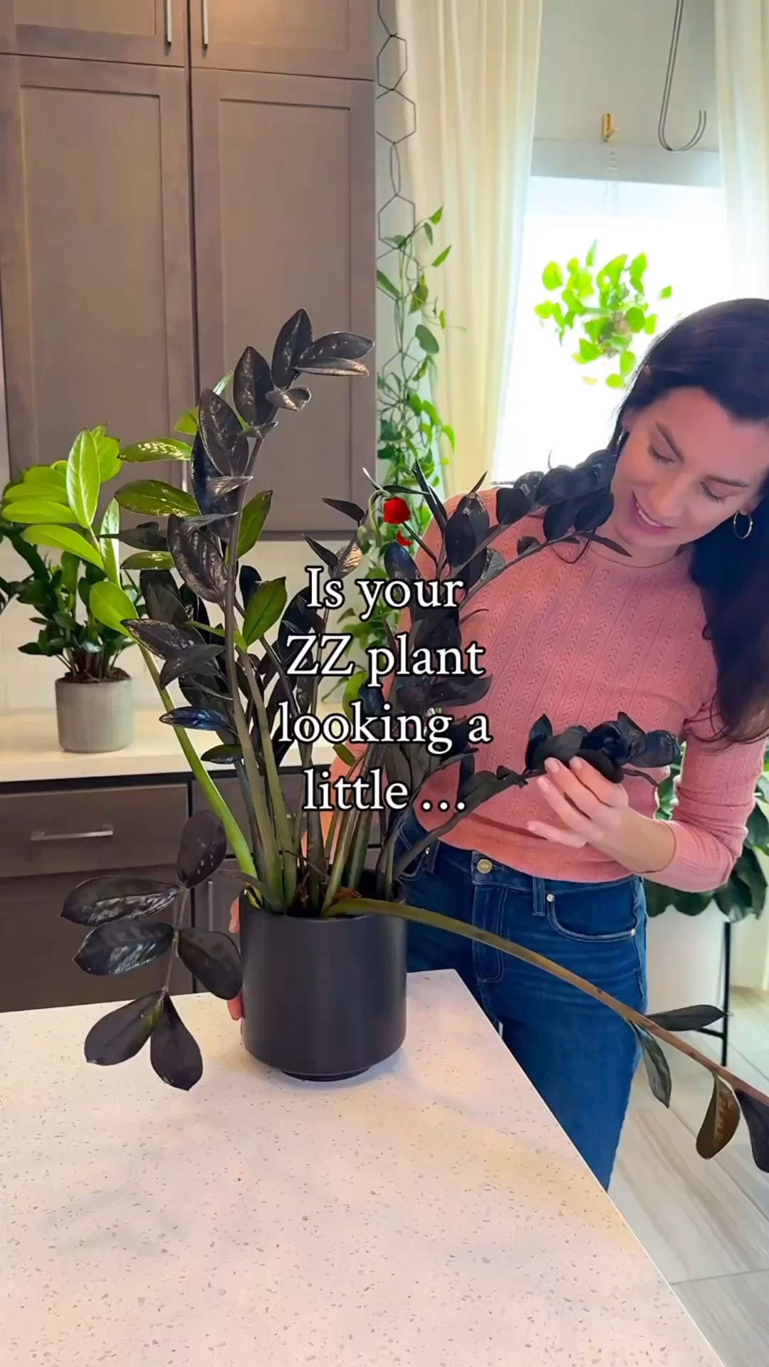 If your ZZ isn’t standing tall, it might just be feeling a little cramped 🌿 When roots run out of room, new growth slows down and the branches can start to droop. A quick refresh and some extra space make all the difference!

I finished with @solsoils Repot Recovery to help reduce stress and boost healthy roots 💧 Use code JacquelynGrows for 10% off at Sol Soils!

✨ Comment ZZ for all the links! ✨

ZZ plant care | rootbound ZZ plant | how to revive ZZ | sol soils repot recovery | repotting houseplants | indoor plant tips | plant care routine

#zzplant #houseplants #plantcare #repotting #solsoils plantlover planttips plantinspo planttok plantreel plantcommunity

#LTKHome #LTKmomlife #LTKdayinmylife