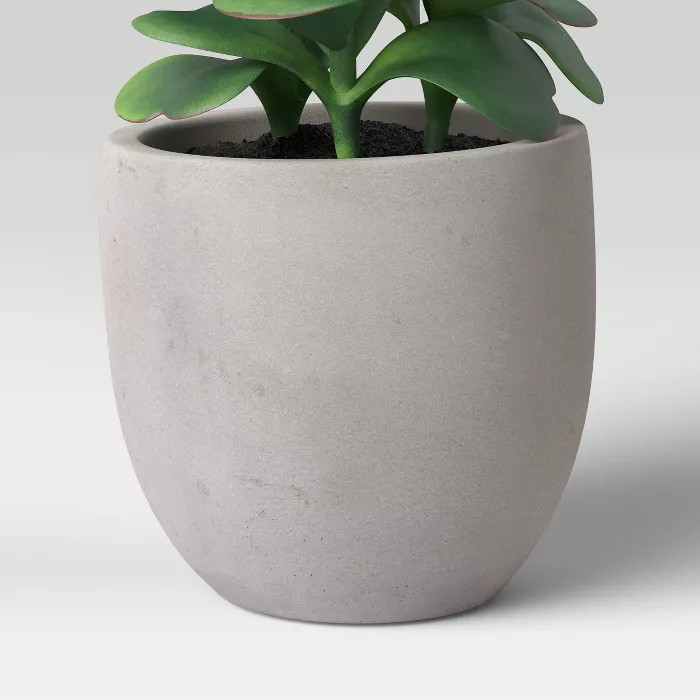 Colorful Succulent in Pot Gray/Green - Project 62™ | Target