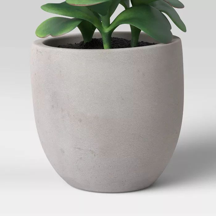 Colorful Succulent in Pot Gray/Green - Project 62™ | Target