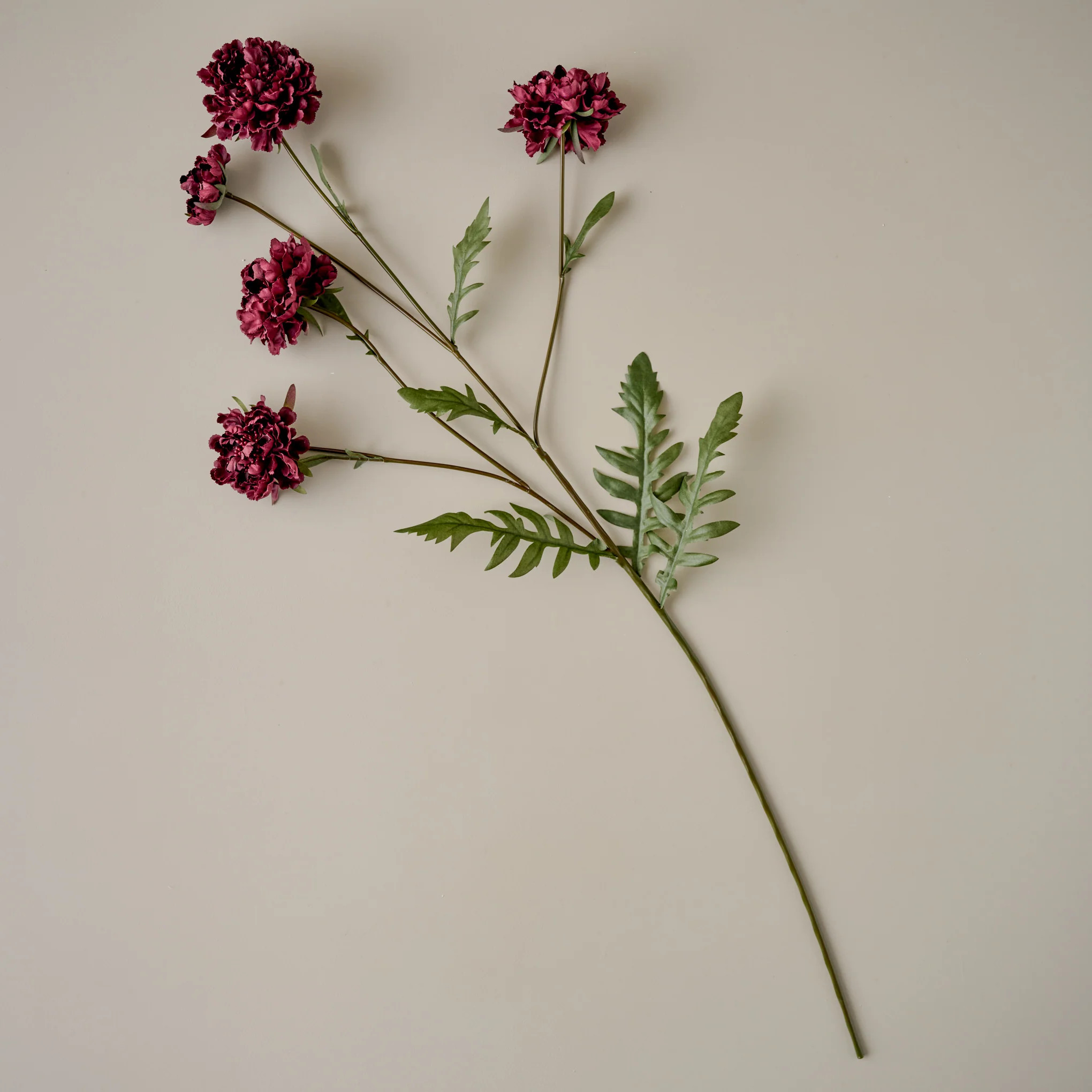 Real Touch Red Velvet Scabiosa Stem | Magnolia