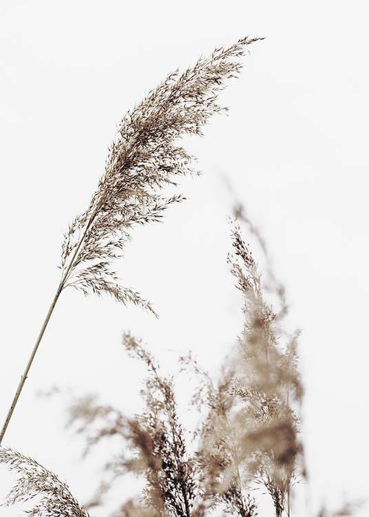 Grass Print | Desenio
