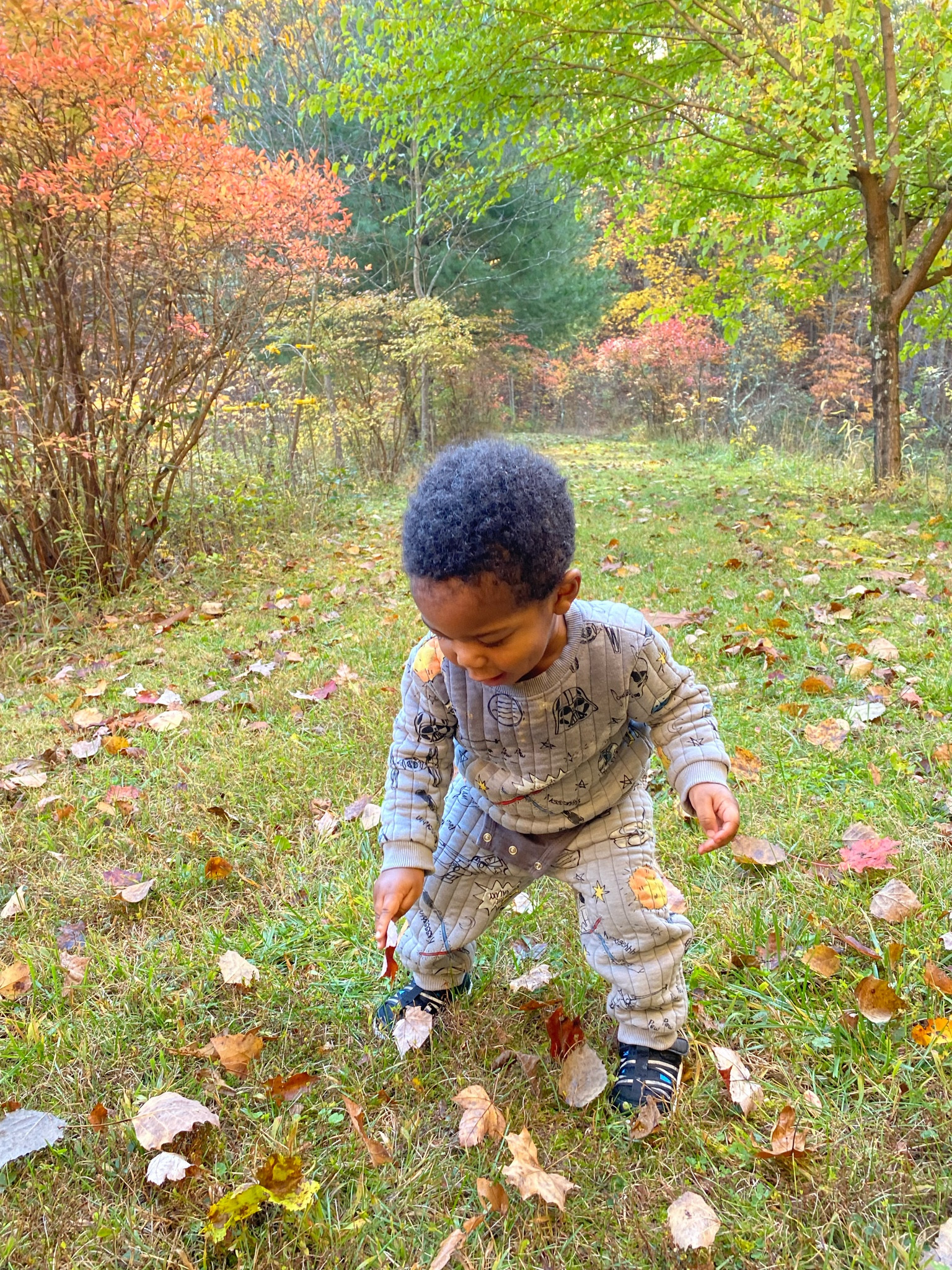 Toddler sweatpants // toddler outfit set // toddler sweatpants set  // Walmart find 

#LTKHoliday #LTKSeasonal #LTKbaby