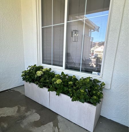 Outdoor planters! 