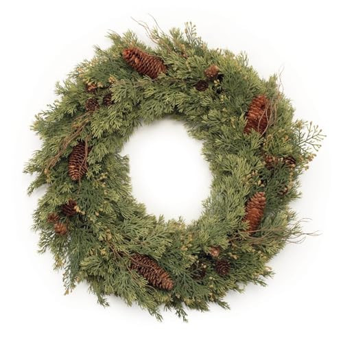 Melrose International Pine Wreath 22" D Plastic/Twig | Amazon (US)