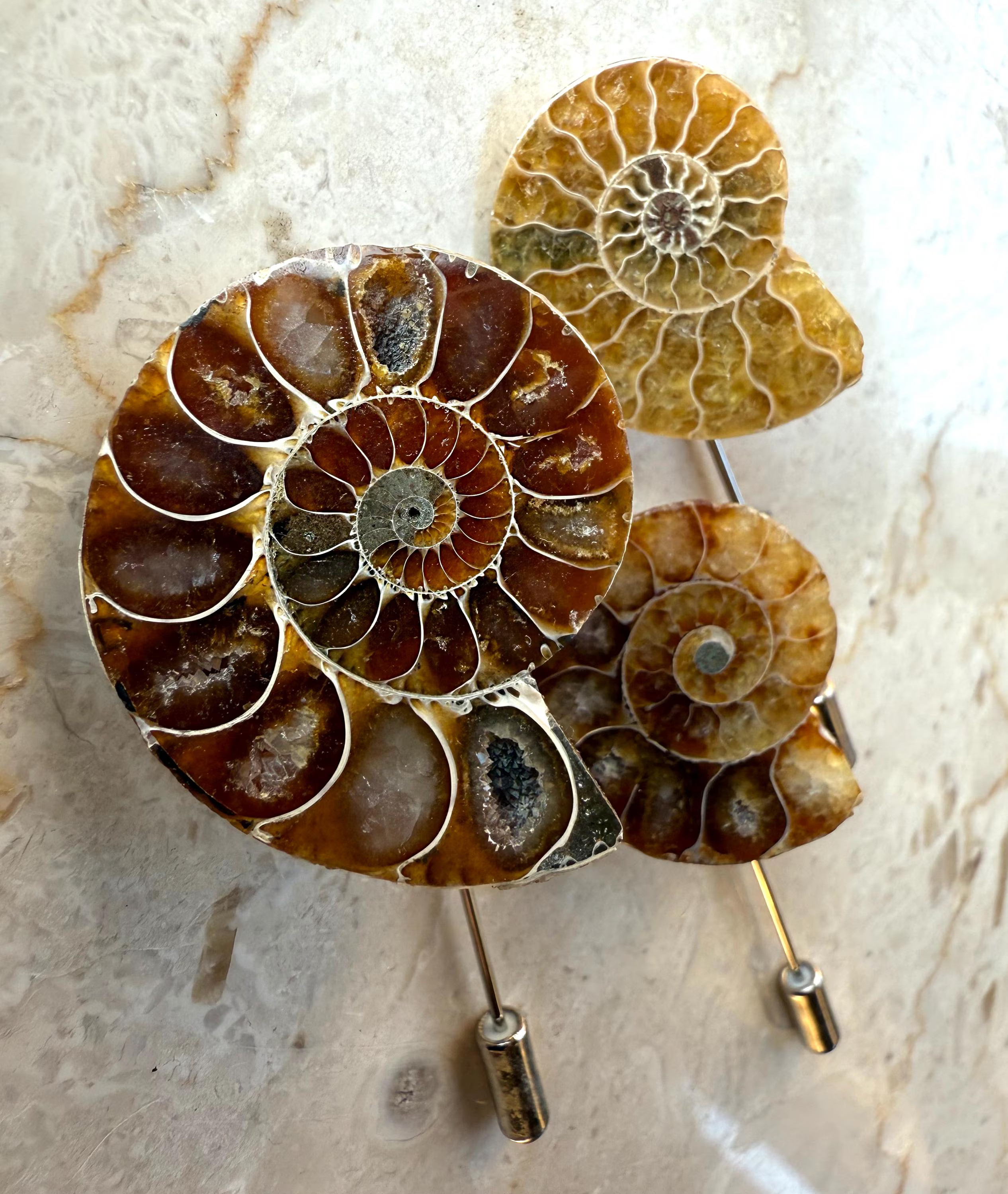 Ammonite Lapel Pin, fossil shell stick pin. Boutonniere, hat pin, groom's wedding suit, lapel pin, paleontology, beach wedding. Fossil lapel | Etsy (Global)