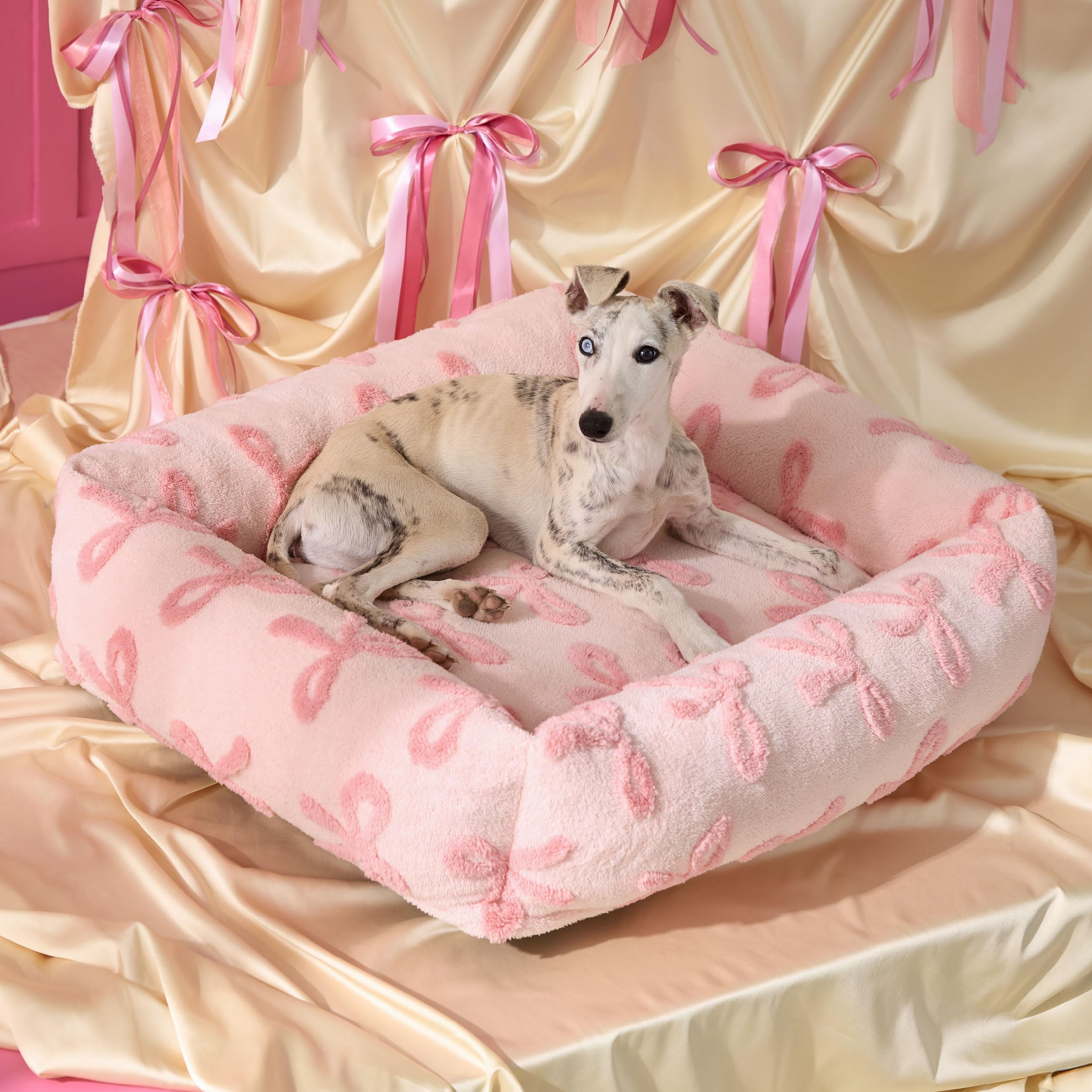 Lesure Cute Dog Bed for Medium Dogs - Washable Pet Beds,Cozy Rectangle Orthopedic Sofa with Jacqu... | Amazon (US)