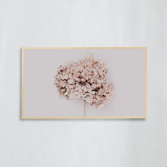 Frame TV Art, Digital downloadable art photography, Minimalist Art photo of a beige, dried hydran... | Etsy (US)