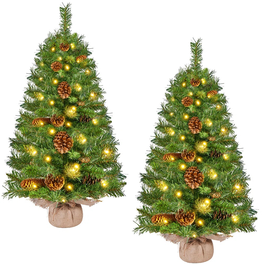 Outdoor Pathway Christmas Trees (Set of 2) | Wayfair North America