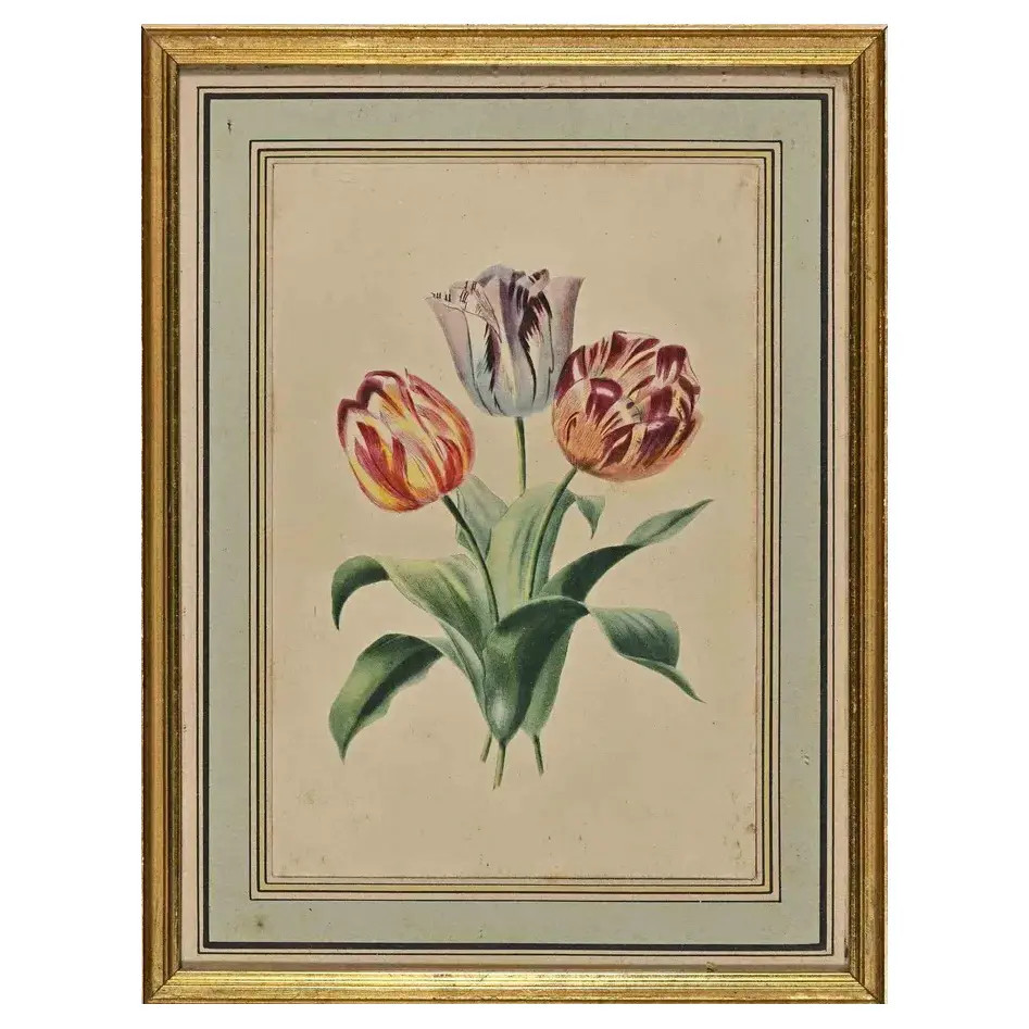 Edouard Maubert, Tulips, Etching, 19th Century | Chairish