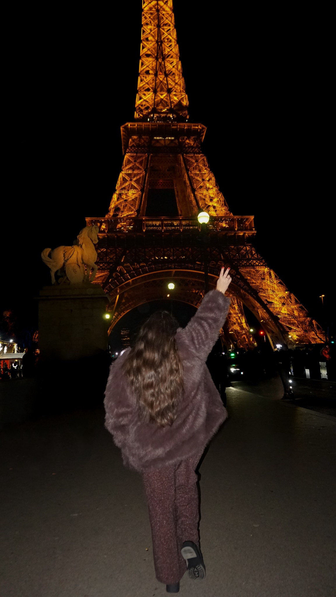 Brown coat. Brown fur coat. Faux fur coat. Paris outfit. Winter outfit. Winter coat outfit. Glitter pants. Shimer pants. Sparkle pants. Brown outfit. Monochrome outfit.

#LTKootd #LTKHoliday #LTKSeasonal