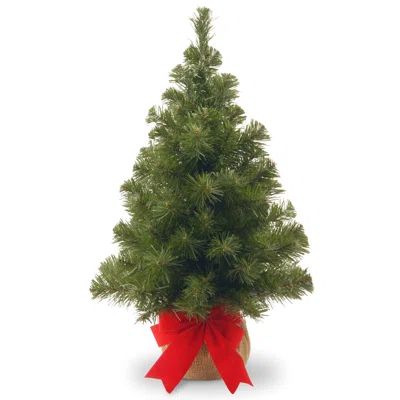 2' Green Noble Spruce Artificial Christmas Tree | Wayfair North America