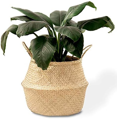 Artera Woven Seagrass Plant Basket - Wicker Belly Basket Planter Indoor with Plastic Liner and Ha... | Amazon (US)