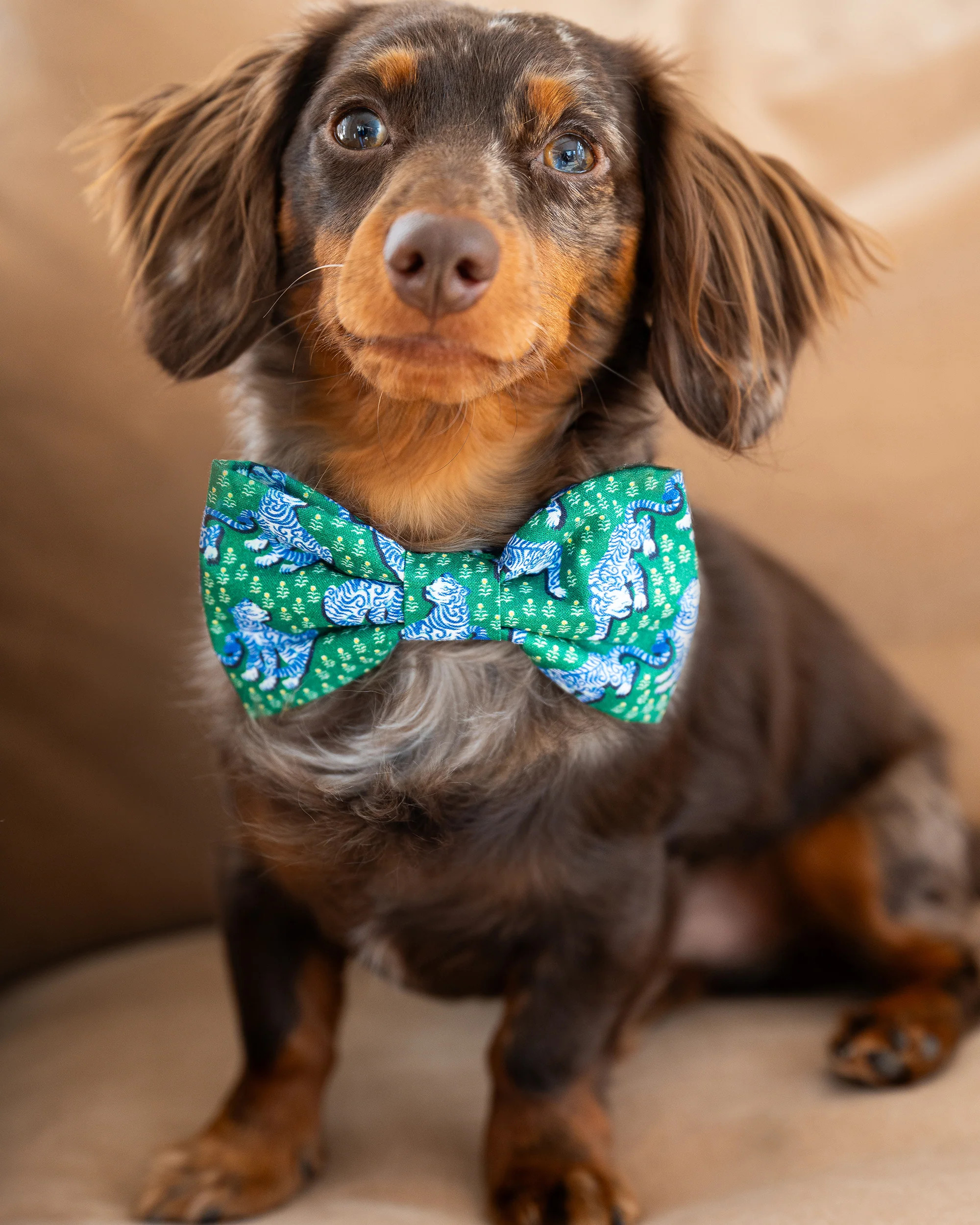 PF x The Foggy Dog Tiger Queen - Dog Bow Tie - Jade | Printfresh