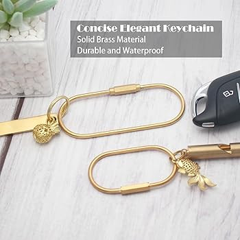 CMVFYL Gold Brass Key Rings, Purse Bag Charms for Handbags, Screw Lock Key Organizer, Carabiner K... | Amazon (US)
