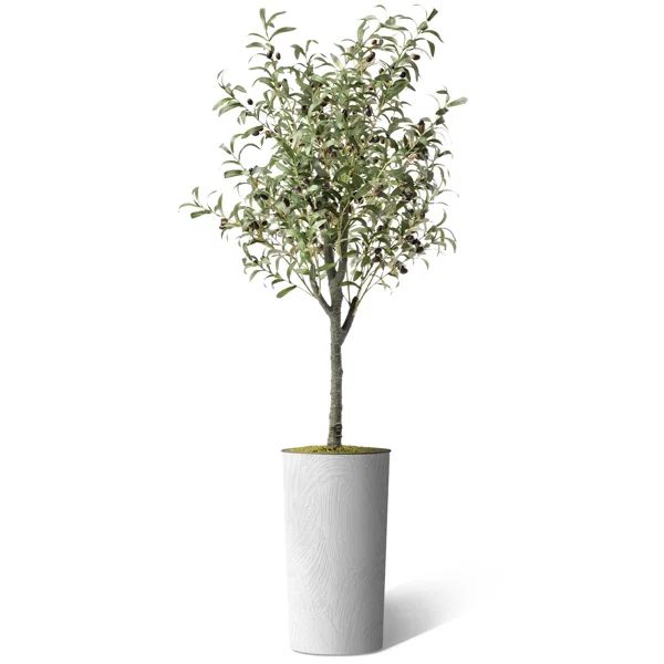 Artificial Tree In Modern Planter, Fake Olive Silk Tree Home Decoration (Plant Pot Plus Tree) | Wayfair North America