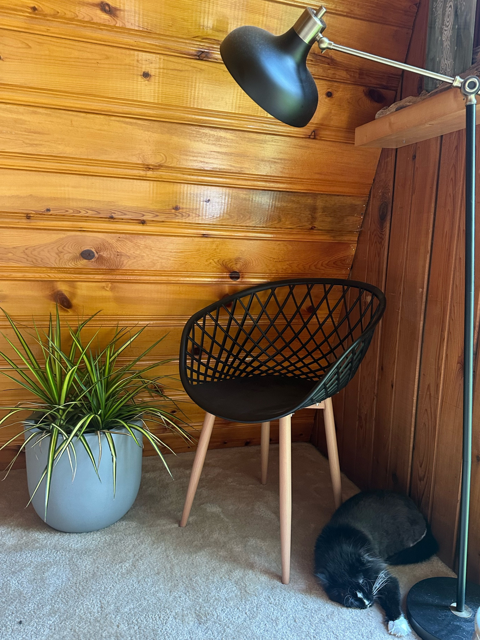 A cozy little corner in my office! You can find my cat laying here daily just waiting to take over my office chair as soon as I get up 😂

#LTKFindsUnder100 #LTKSeasonal #LTKHome