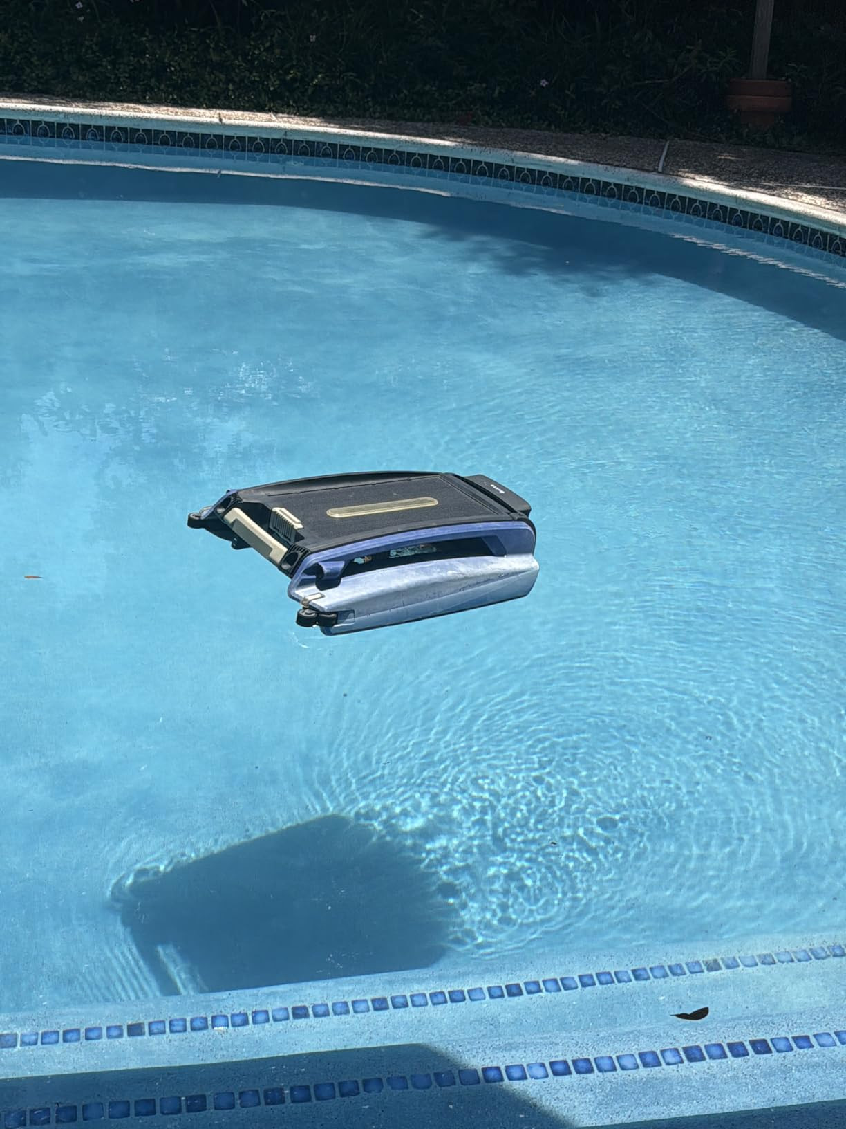 Amazon.com : Betta SE Solar Powered Automatic Robotic Pool Surface Skimmer Cleaner with 24/7 Continuous Cleaning Battery Power and Re-Engineered Twin Salt Chlorine Tolerant Motors (Blue) : Patio, Lawn & Gardenr | Amazon (US)