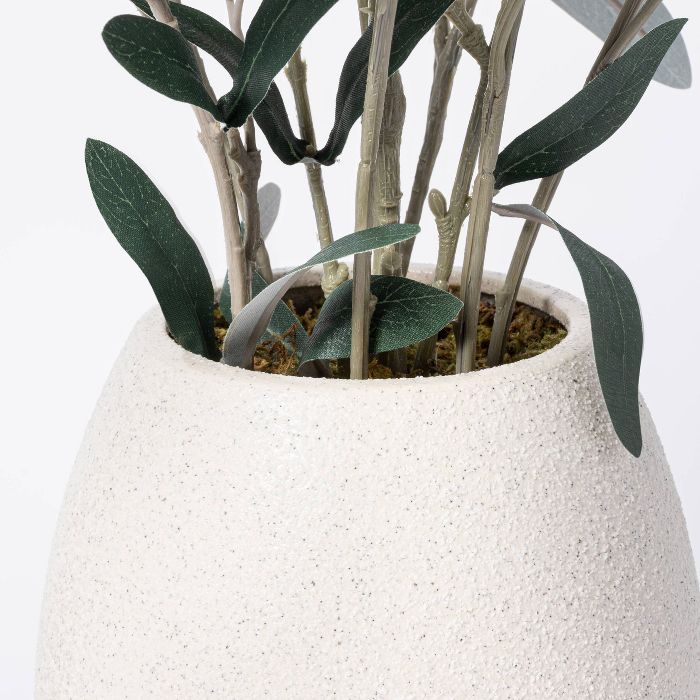 30&#34; x 24&#34; Artificial Olive Plant Arrangement in Pot - Threshold&#8482; designed with Stud... | Target