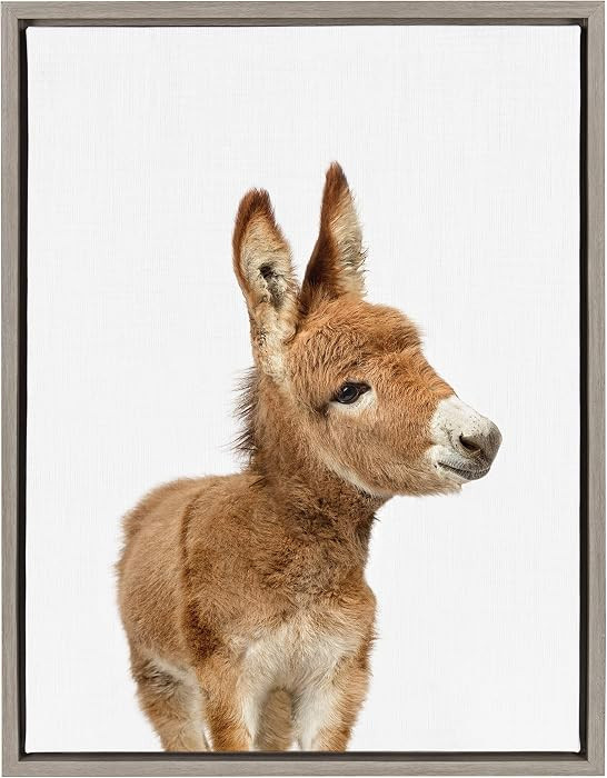 Kate and Laurel Sylvie Baby Donkey Animal Print Portrait Framed Canvas Wall Art by Amy Peterson, ... | Amazon (US)