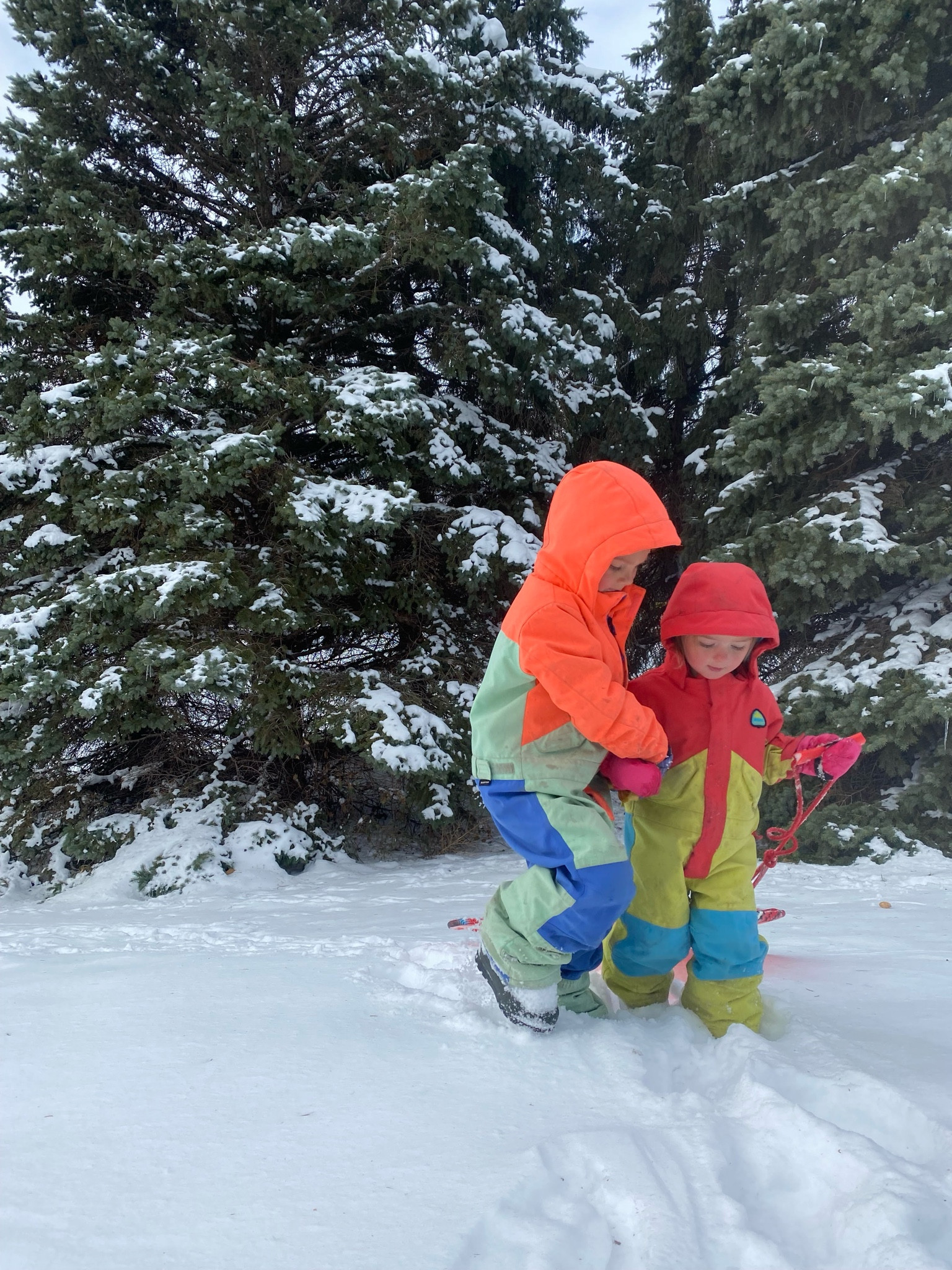 Our Top Snowsuits for Kids on the Farm: Durable Winter Gear That Works as Hard as Your Family

If you’re on the hunt for the best snowsuits for kids to handle the tough demands of farm life, Burton snowsuits are our go-to choice. For years, they’ve been a staple on our North Dakota family farm, standing up to the cold, snow, and endless outdoor adventures. These snowsuits are built for durability and designed with farm kids in mind—they’re easy to wash, ultra-warm, and flexible enough for all-day play or chores.

Whether your kids are feeding animals at sunrise or sledding at sunset, Burton snowsuits keep them cozy, active, and ready to take on whatever the day brings. For any farm family, they’re a winter essential that combines practicality, comfort, and value.

Why We Love Burton Snowsuits:
	•	Farm-Tough Durability: Withstand the wear and tear of daily farm chores and outdoor activities.
	•	Easy Care: Machine washable for hassle-free cleanups.
	•	All-Day Comfort: Warm yet lightweight, with room to move freely.

These snowsuits are more than just outerwear—they’re a trusted part of our winter routine. See why they top our list for rugged outdoor gear, farm family essentials, and must-have kids’ winter clothing.

