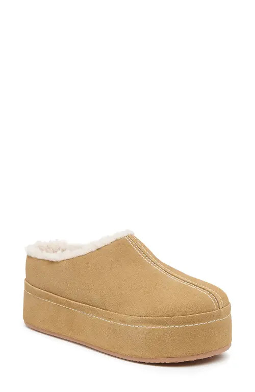 Kelsi Dagger Brooklyn Torrence Faux Shearling Lined Platform Clog in Bison at Nordstrom, Size 9.5 | Nordstrom