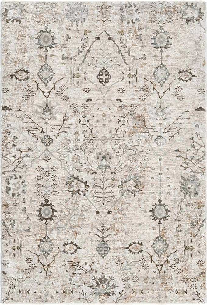 Hauteloom Claydon Moroccan Farmhouse Living Room Bedroom Dining Room Area Rug - Bohemian Neutral ... | Amazon (US)