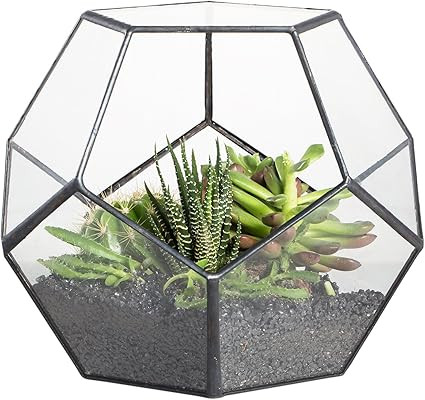 NCYP 5.9" Black Glass Geometric Terrarium Planter Pentagon Container Modern Decor Display Flower ... | Amazon (US)