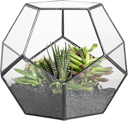 NCYP 5.9" Black Glass Geometric Terrarium Planter Pentagon Container Modern Decor Display Flower ... | Amazon (US)