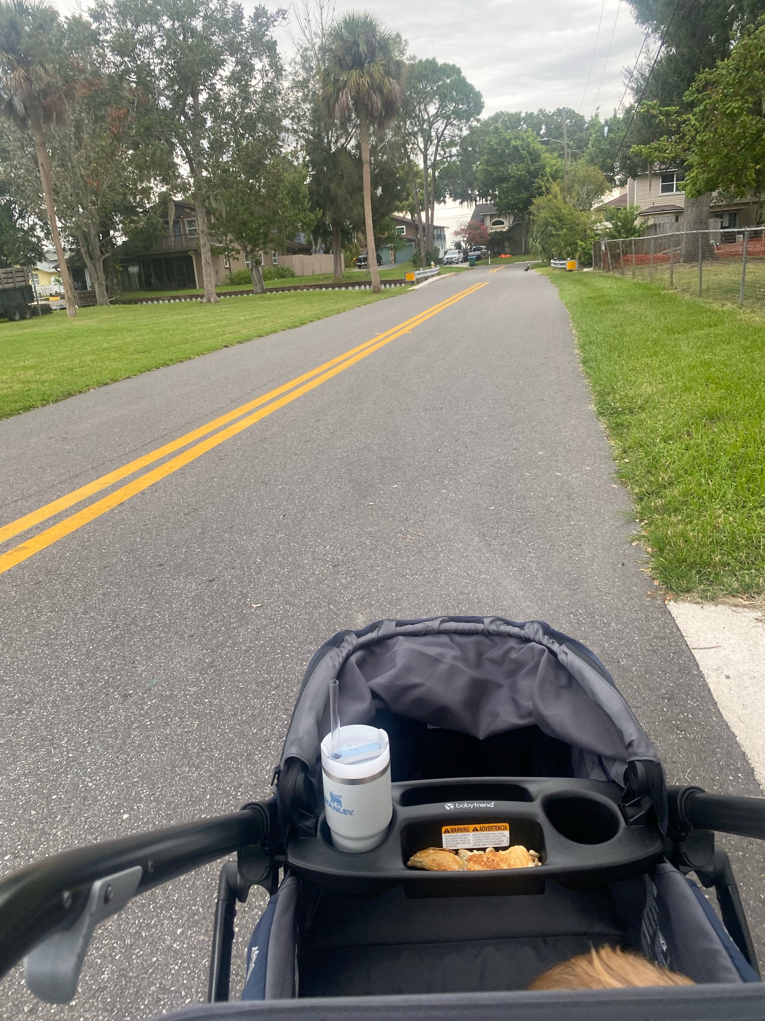 Ride around the neighborhood in his new wagon stroller! 