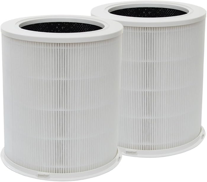PUREBURG Replacement Filter Compatible with Dr.J AP401 AP402 & GCZ AP402 Air Purifiers,2-Pack H13... | Amazon (US)