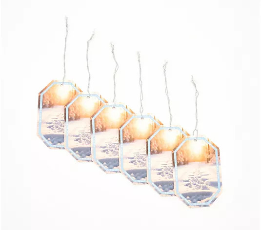 HomeWorx by Slatkin + Co. S/6 Hanging Auto Air Fresheners - QVC.com | QVC