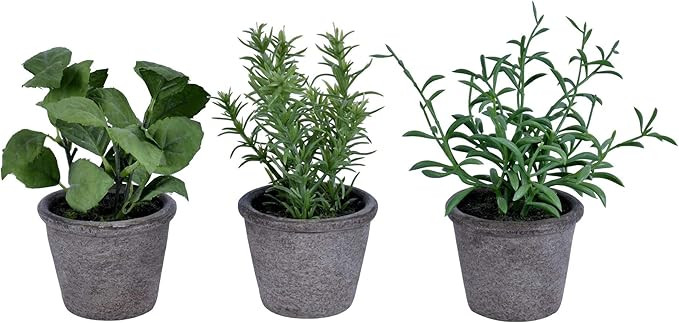 Vickerman Everyday 7" Artificial Green Potted Plant Assortment - Set of Three - Black Plastic Pot... | Amazon (US)