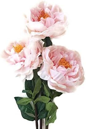 Floral Kingdom 30' Real Touch Latex Artificial Peony Flowers for vase Arrangements, weddngs, Home... | Amazon (US)