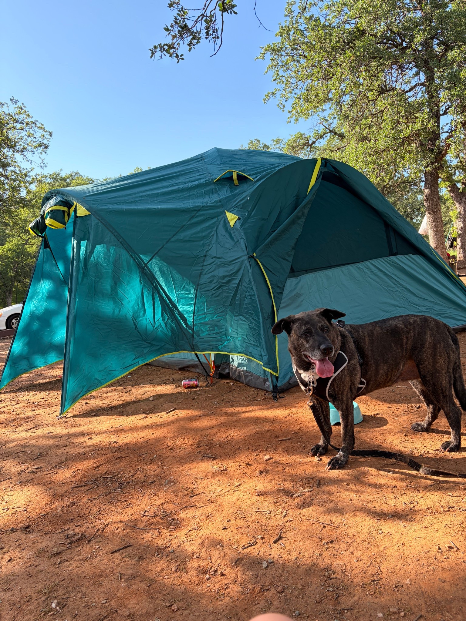 Summer weather? Summer activities  

#LTKActive #LTKTravel #LTKmomlife