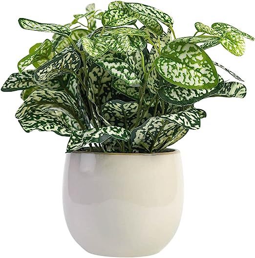 BLVVCOM Artificial Potted Plants-Fake Plants 10.6" Faux Green Plant-Ceramic Pot-Tropical Bohemian... | Amazon (US)