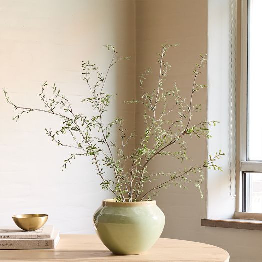 Faux Potted Sophora Prostrata Plant | West Elm (US)